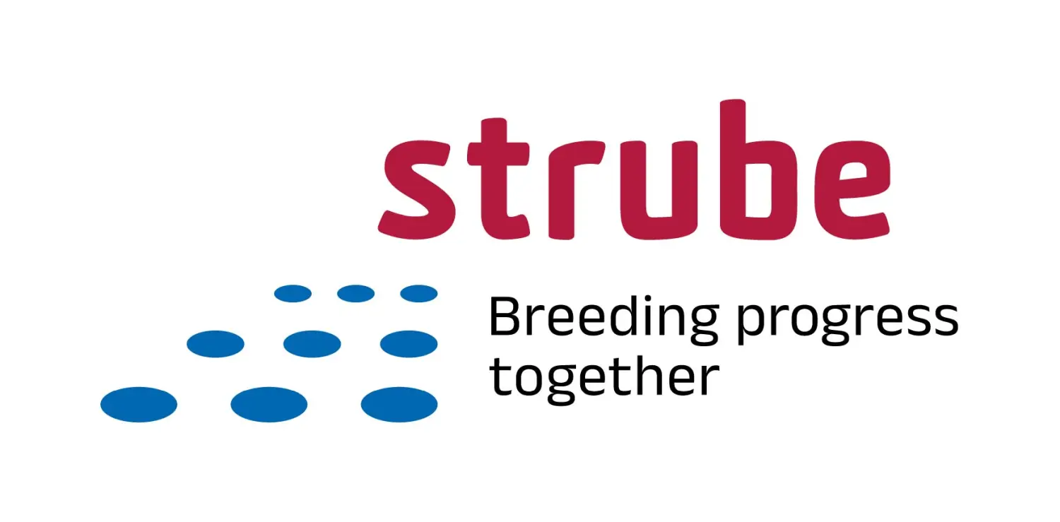 STÖBER logo